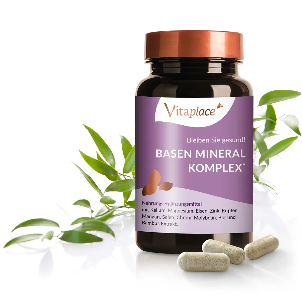 VITAPLACE Basen+Mineral Komplex Kapseln