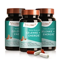 VITAPLACE GELENKE+ENERGIE